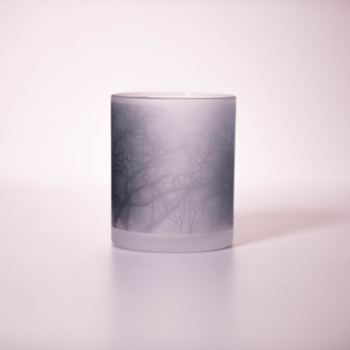 Photo Mug(frost5)