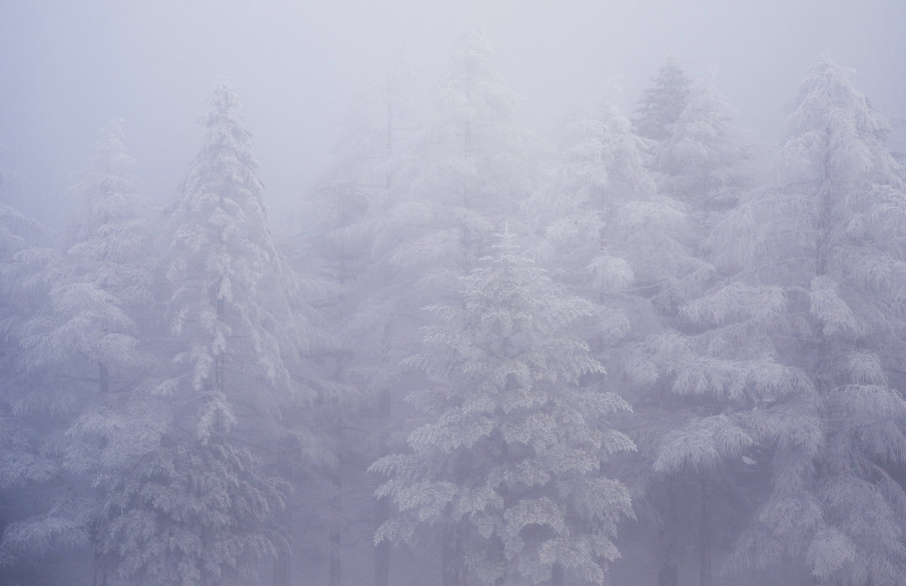 Silent