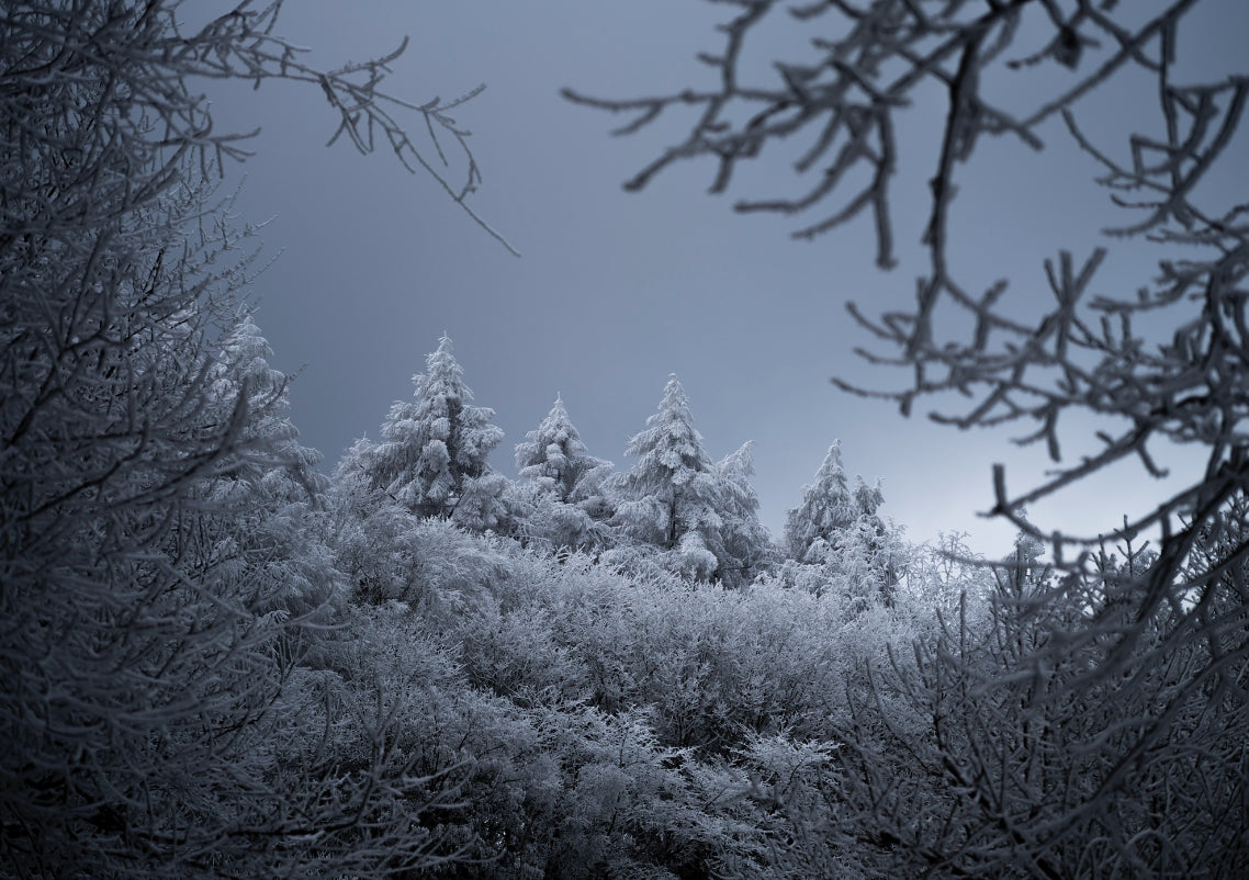 Snow Castle